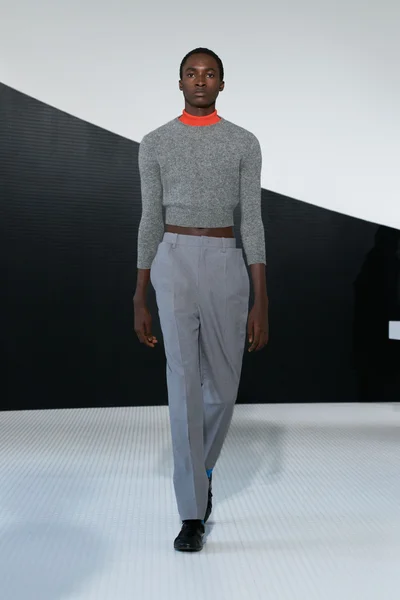 Look 29